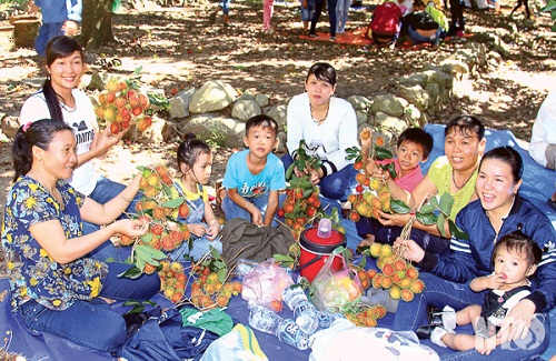 Ngoài gia đình chị Nguyễn Thị Mạnh, hiện ở xã Lâm Sơn có hơn 20 hộ cũng bắt tay vào làm du lịch miệt vườn, du lịch vườn cây ăn trái. Riêng gia đình chị Mạnh mỗi năm đón hơn 4.000 khách tới thăm quan, sử dụng dịch vụ, sau khi trừ chi phí, chị Mạnh còn lãi 250 triệu đồng/năm.