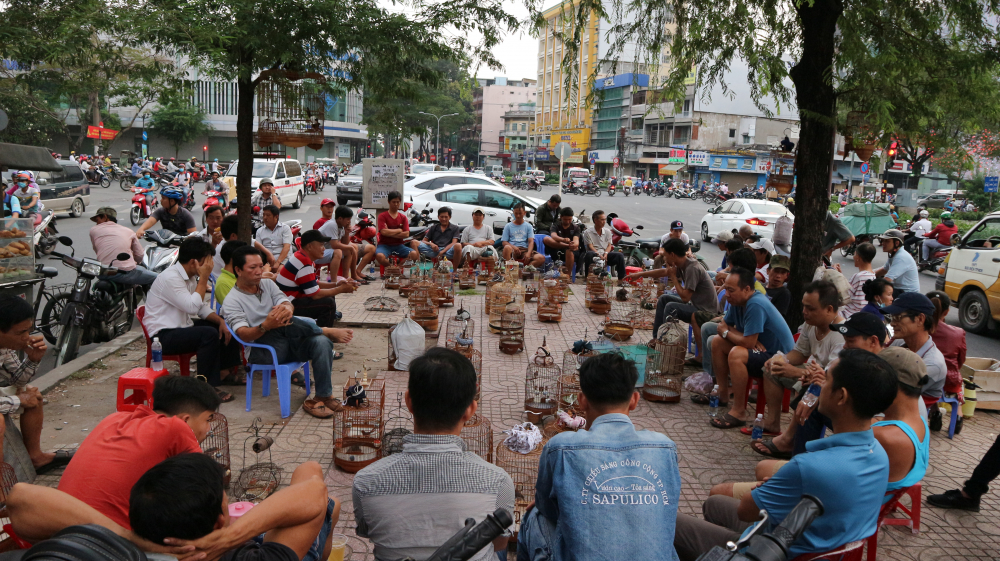 Rất đông những thành viên trong hội chơi chim tập trung để tham giao giao lưu học hỏi giữa các chú chim với nhau. (Ảnh: Huy Hoàng)