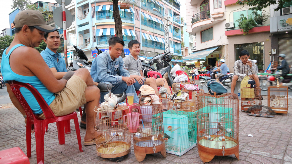  Thú vui chơi chim giúp những người chơi chim cảm thấy thoải mái sau một ngày làm việc căng thẳng. (Ảnh: Huy Hoàng)