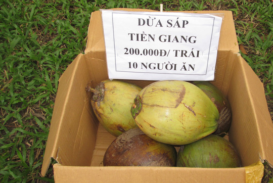 Dừa sáp được bán tại hội chợ nông sản ở TP HCM    