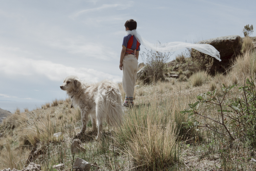 Trên đỉnh núi ở Copacabana (Bolivia), Warawar Wawa nhìn về xa xăm, chú chó đại diện cho con cáo của Hoàng Tử Bé đang bên cạnh cậu.