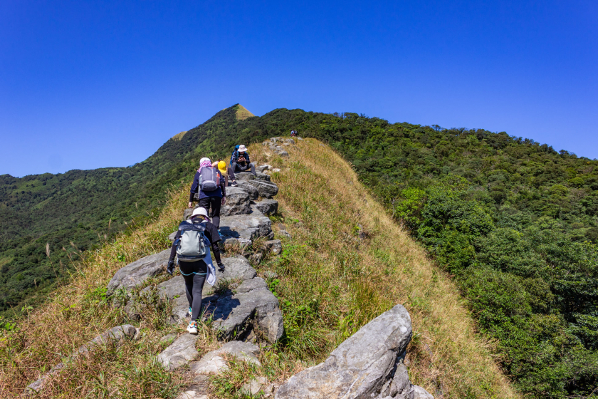 Một đoàn trekking núi Phia Po (ảnh: Trần Hồng Ngọc)