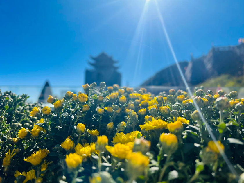 Nắng vàng ấm áp những ngày đầu xuân trên Sa Pa. Ảnh: Ánh Bùi