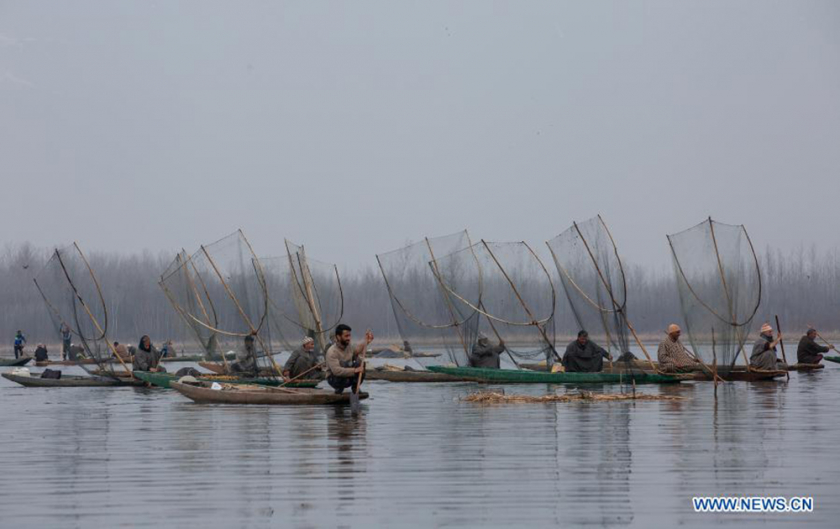 Cảnh đánh cá cộng đồng trên hồ Anchar tạo nên một nét riêng hấp dẫn du khách. (Ảnh: Xinhua/Javed Dar)