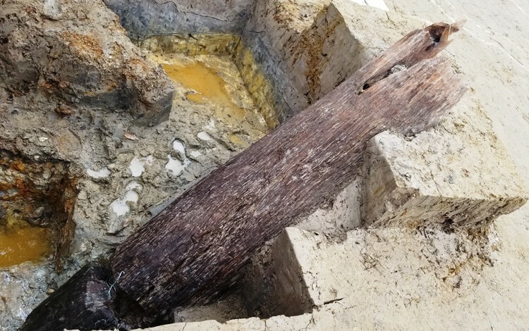 Những chiếc cọc gỗ được chôn sâu dưới lòng đất.