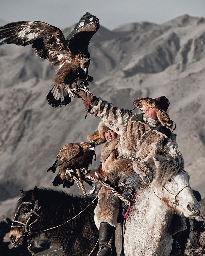 Giống như những “thợ săn chim ưng” ở Trung Á, người Kazakh sử dụng đại bàng để đi săn. 