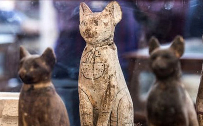 Tượng mèo được tìm thấy trong mộ cổ