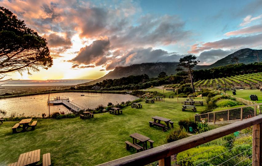 Vườn nho Cape Point, nơi sản xuất rượu nho nổi tiếng thế giới