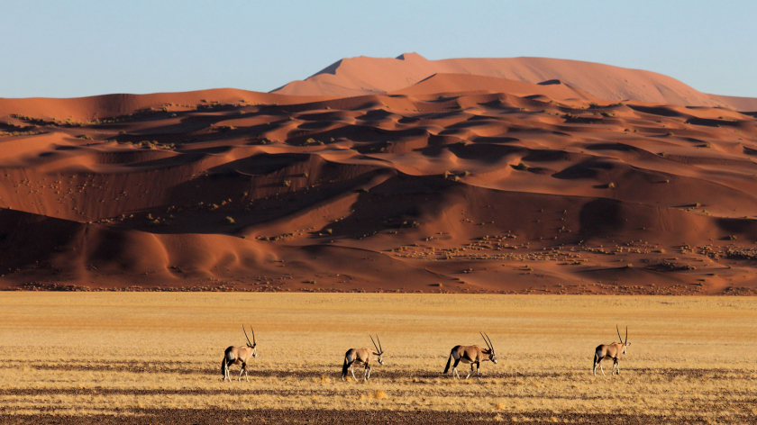 Sa mạc ở Namibia