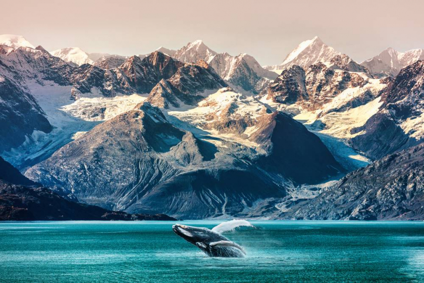 Mùa xuân là thời điểm lý tưởng để Song Ngư tới vịnh Glacier, Alaska.