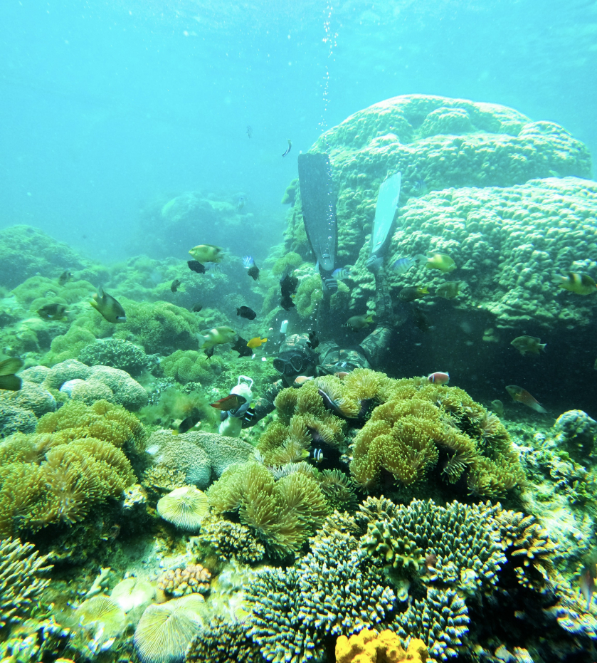 Bãi Cạn trên đảo Phú Quý là địa điểm cho những người yêu thích lặn biển khám phá sự đa dạng của loài san hô và nhiều loài cá đủ sắc màu tạo nên khung cảnh đẹp mắt