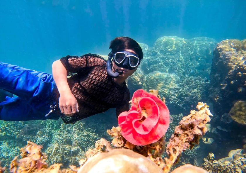 Đảo Phú Quý thu hút du khách bởi tour lặn ngắm san hô khám phá các loài sinh vật biển đa dạng