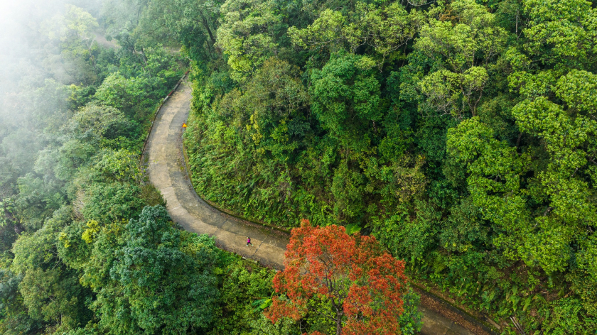 Vườn quốc gia Bạch Mã là dải rừng nguyên sinh duy nhất của Việt Nam nối ngang đất nước từ biển Đông đến biên giới Việt – Lào. (Ảnh:Lê Huy Hoàng Hải)
