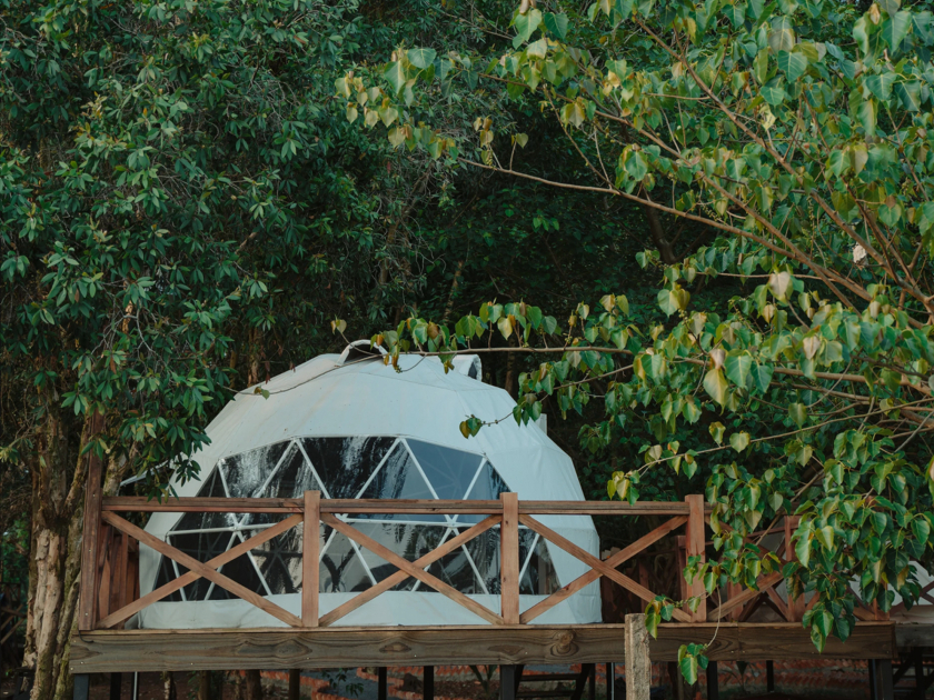 Những chiếc lều có hình dáng giống như chiếc bát úp ngược yên tĩnh nằm dưới bóng cây im mát.