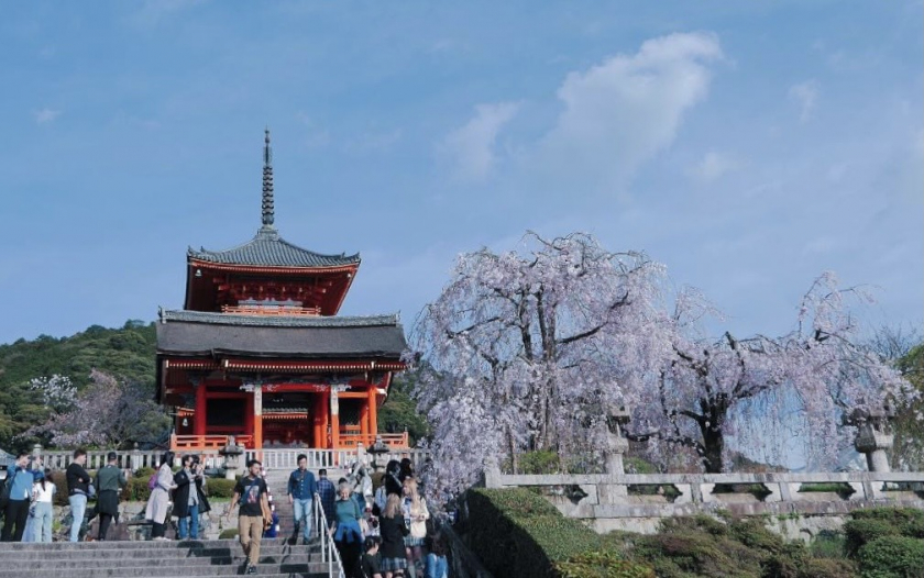 Kyoto là thành phố nổi tiếng về cả ẩm thực, khung cảnh thiên nhiên và bề dày lịch sử