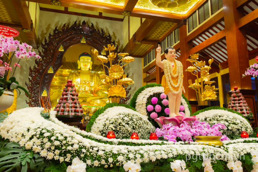 Đại lễ Phật đản ở Việt Nam được Phật giáo tổ chức trang trọng, thành kính