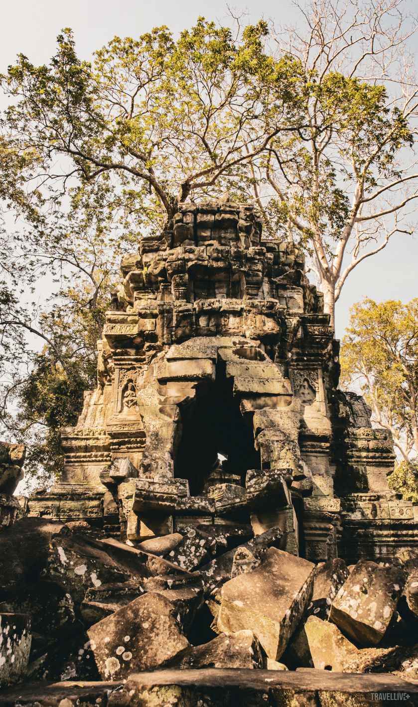 Ta Prohm đích thực là một kho báu của Angkor.