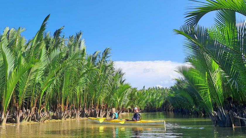 Chèo thuyền qua rừng dừa