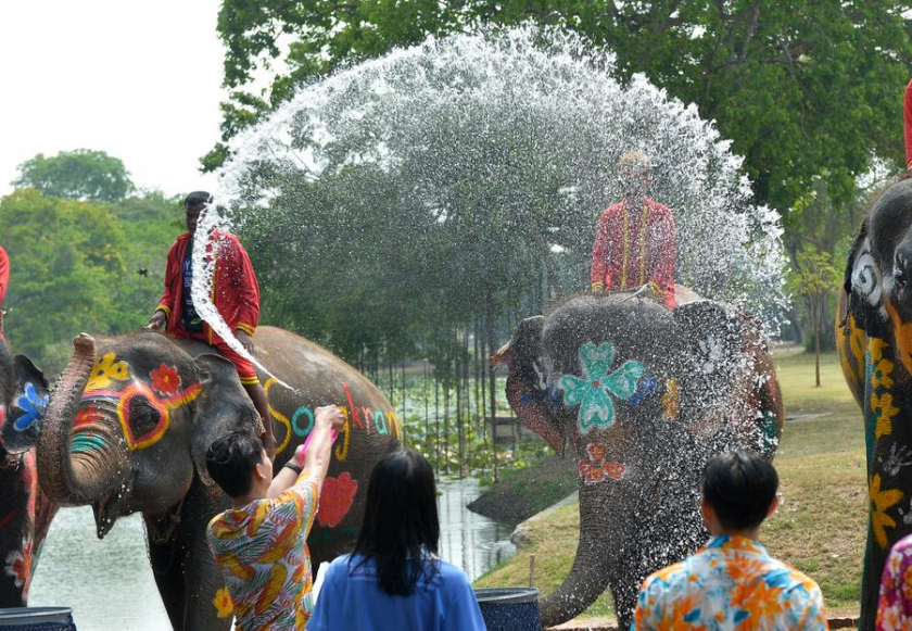 Voi và khách du lịch té nước vào nhau trong lễ kỷ niệm Songkran ở Ayutthaya ngày 11/4