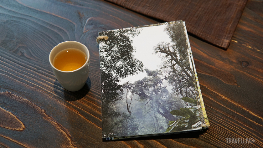 Loại trà ở Nâu Quán thường xuất phát từ cây trên núi, nhiều đời mới có một cây và tinh hoa đất trời tự có. Vì vậy, từng cánh trà đều được trân trọng