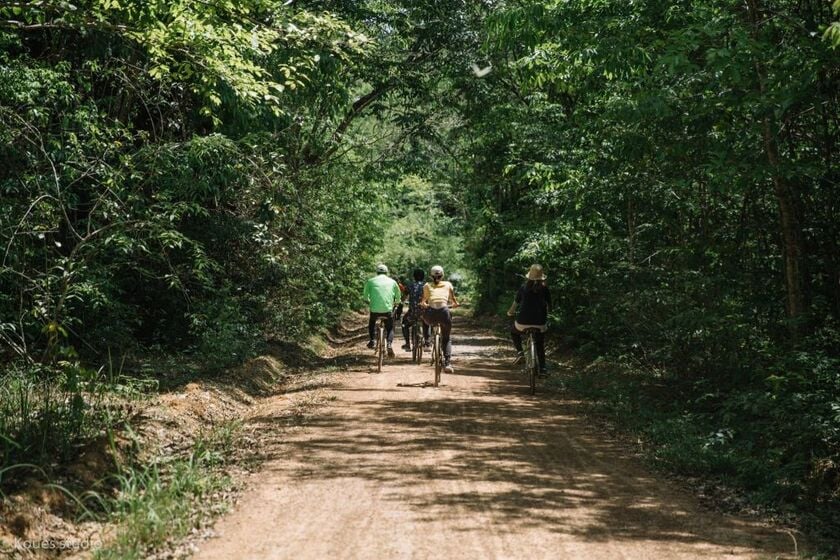 Con đường đạp xe xuyên rừng thơ mộng
