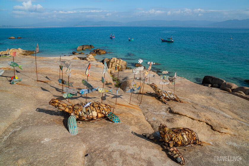 Khu bảo tồn rùa biển tại Cù Lao Câu.