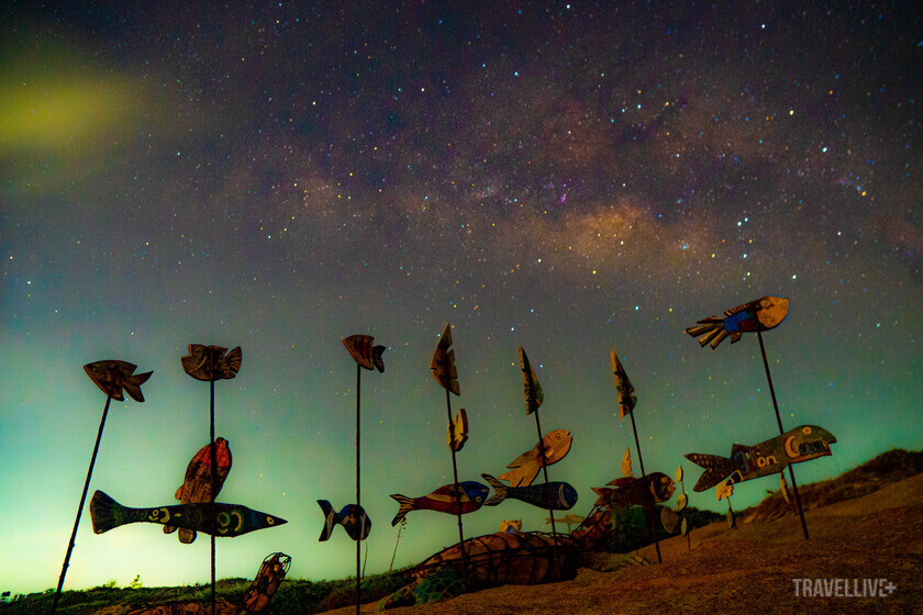 Bầu trời đêm đầy sao tại Cù Lao Câu.