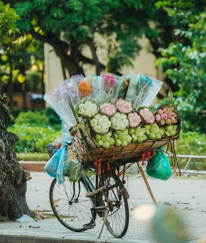 Những chiếc xe chở vô vàn loài hoa gây thương nhớ ở Hà Nội