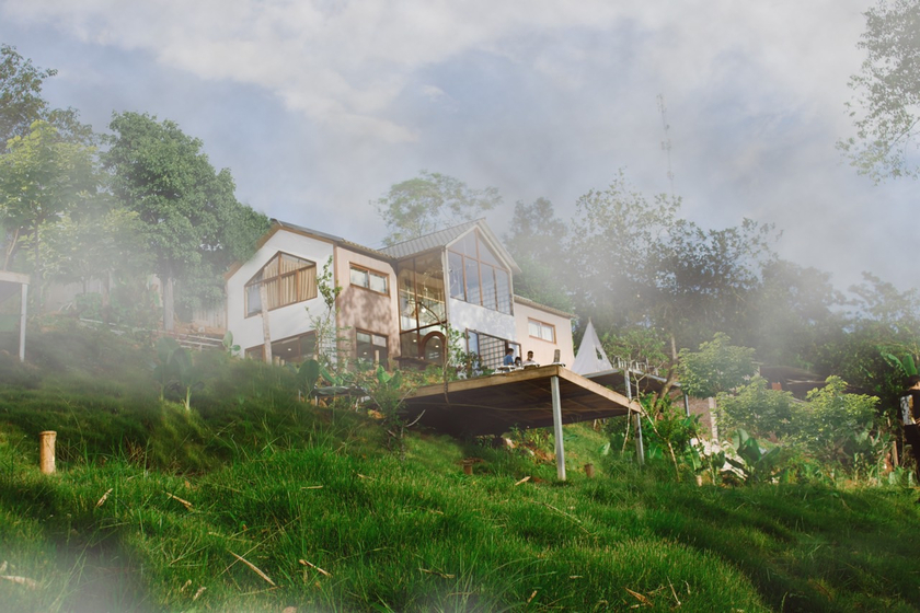 Ngôi nhà bao quanh bởi thiên nhiên xanh mướt