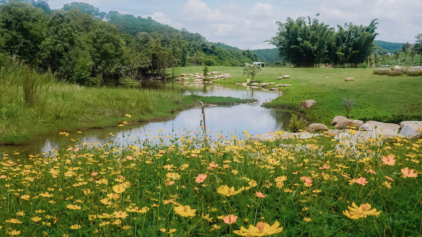 Du khách cũng có thể ngồi bên hồ ngắm hoa sao nhái và thảo nguyên bất tận