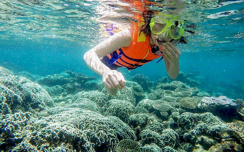 Lặn biển ngắm san hô là trải nghiệm đưa bạn đến một thế giới khác, đầy màu sắc và sinh động của đại dương