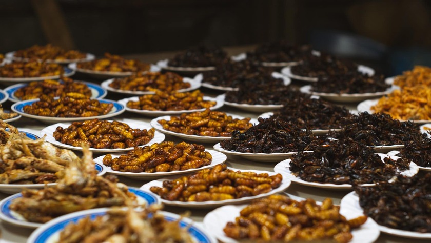 Cũng giống như các nước Đông Nam Á, người Lào cũng rất thích các món ăn được chế biến từ côn trùng như trứng kiến, sâu tre, cà cuống…
