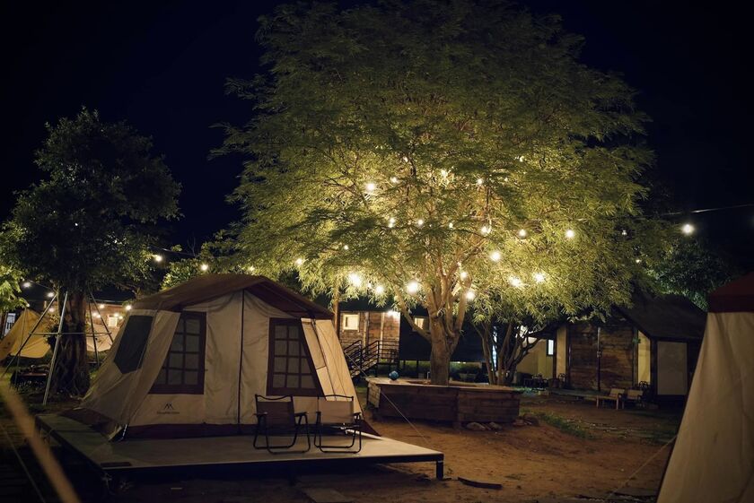 Cảnh đẹp thơ mộng về đêm ở Lata camping