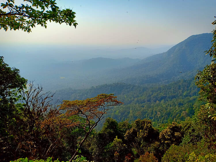 Agumbe, Karnataka