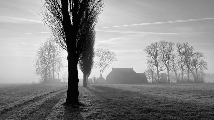 Bức ảnh đạt giải phong cảnh của tác giả Ton Ensing  chụp bằng iPhone 12 Pro ở Hà Lan