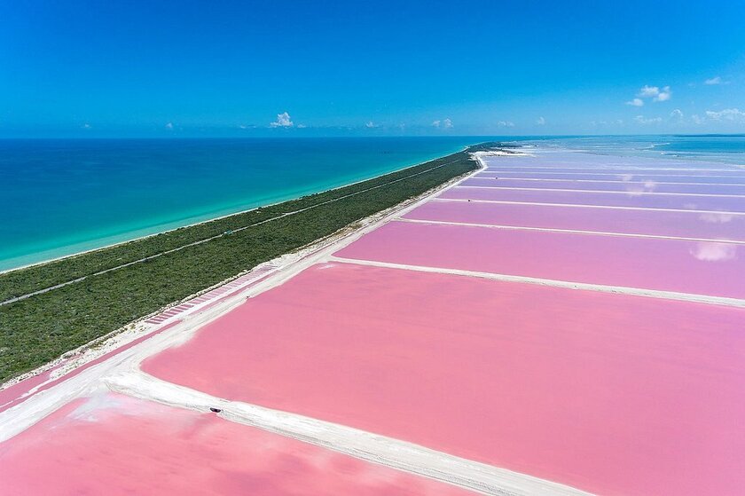 Vốn là những ruộng muối, Las Coloradas trở thành hồ nước có màu hồng độc đáo nằm ở mũi bắc bán đảo Yucatan, phía đông nam Mexico