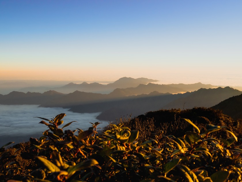 Đỉnh Sa Mu hay còn gọi là đỉnh U Bò có độ cao 2.756 m, thuộc khu bảo tồn thiên nhiên Tà Xùa.