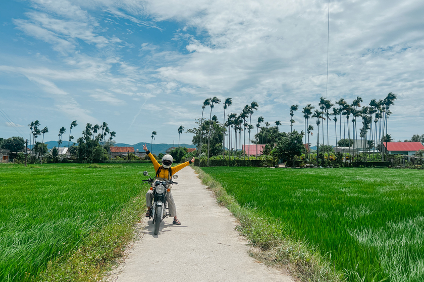 Trên con đường ở Quy Nhơn, Bình Định.