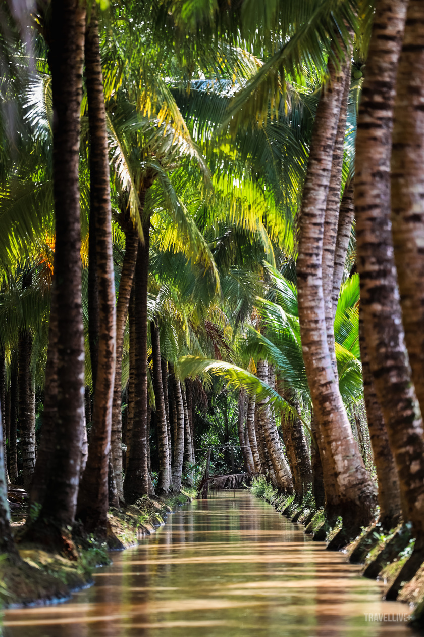 Vườn dừa Tân Lộc qua ống kính của Travel Blogger Vinh Gấu.