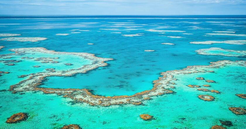 Great Barrier Reef là hệ thống rạn san hô lớn nhất thế giới.
