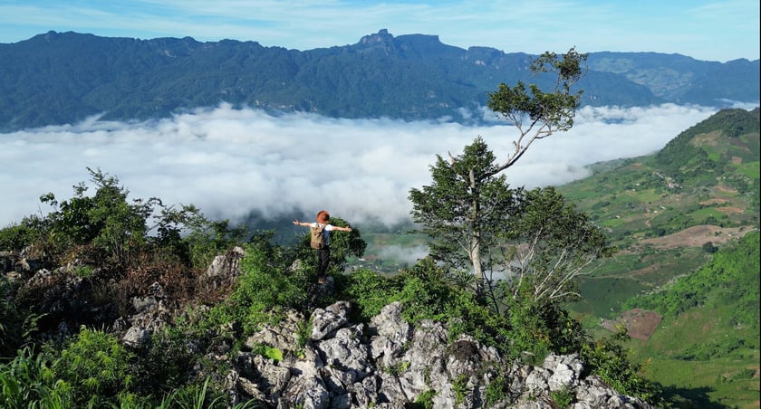 Bên cạnh nét đẹp thiên nhiên trữ tình, tràn đầy sức sống, việc ngắm nhìn biển mây trên đỉnh Pa Phách là trải nghiệm tuyệt vời bạn không thể bỏ lỡ.