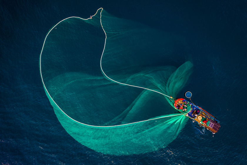 Chiếc lưới đánh bắt cá cơm có nhiều hình thù đặc biệt.