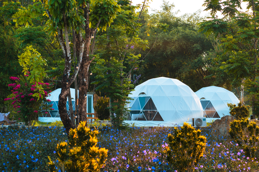 Orchard Home Resort với diện tích hơn 15 héc ta được bao phủ bởi vườn cây xanh nên du khách sẽ thỏa sức tận hưởng không gian yên tĩnh và trong lành.