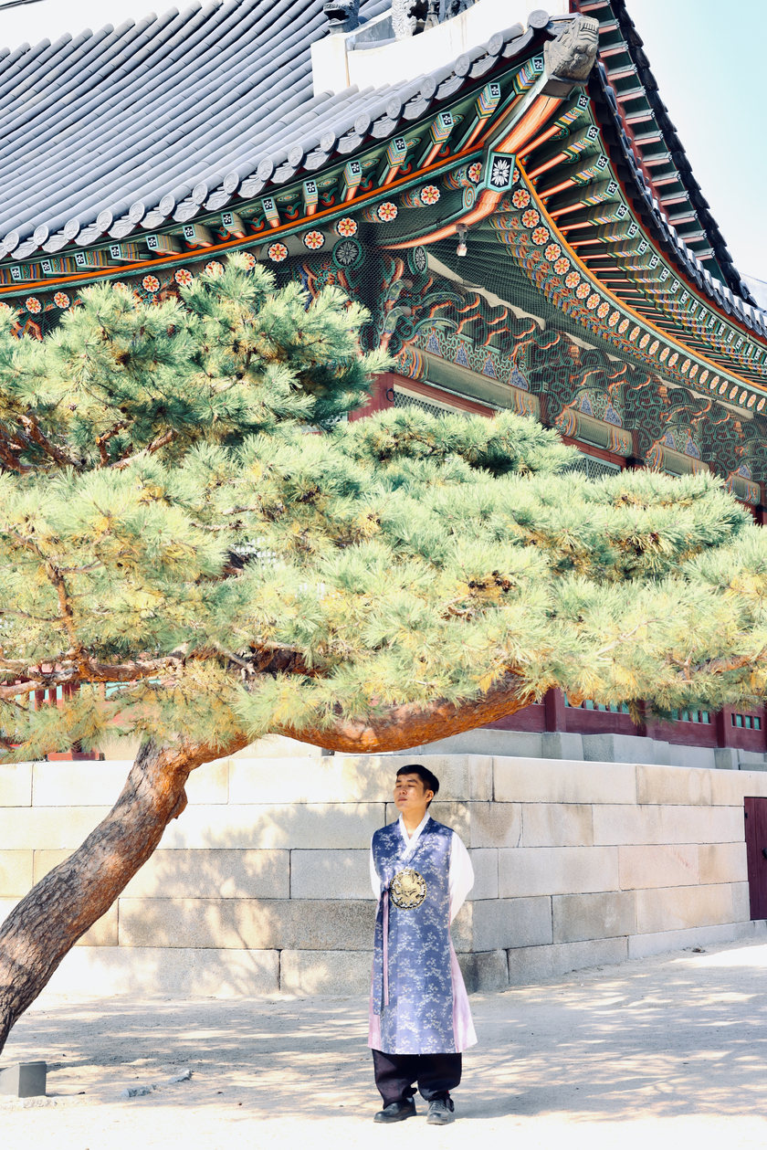 Hà Hiển tại cung điện Gyeongbokgung.