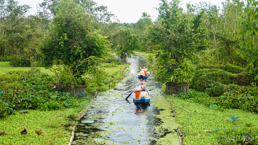 Rừng tràm Trà Sư cách TP Châu Đốc khoảng 30 km, được trồng theo mô hình hệ sinh thái của vùng ngập nước phía tây sông Hậu