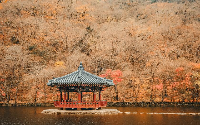 Mùa thu được xem là thời điểm lý tưởng để du lịch Hàn Quốc.
