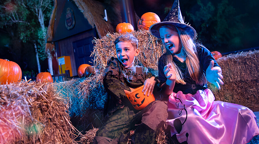 Một trong những sự kiện lớn nhất tại Dream World là lễ hội Halloween diễn ra vào tháng 10 hàng năm.