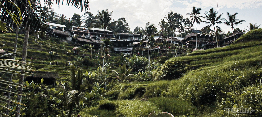Hình ảnh những ngôi nhà địa phương lẫn trong ruộng bậc thang đã trở thành biểu tượng của Ubud và Bali