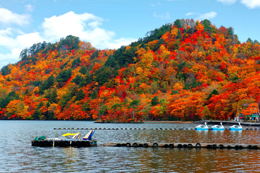 Hình ảnh trang nghiêm của suối nước được bao bọc bởi cây cối nhiều màu sắc đã làm cho địa điểm này trở thành một thắng cảnh lá đỏ đệ nhất vùng Tohoku.