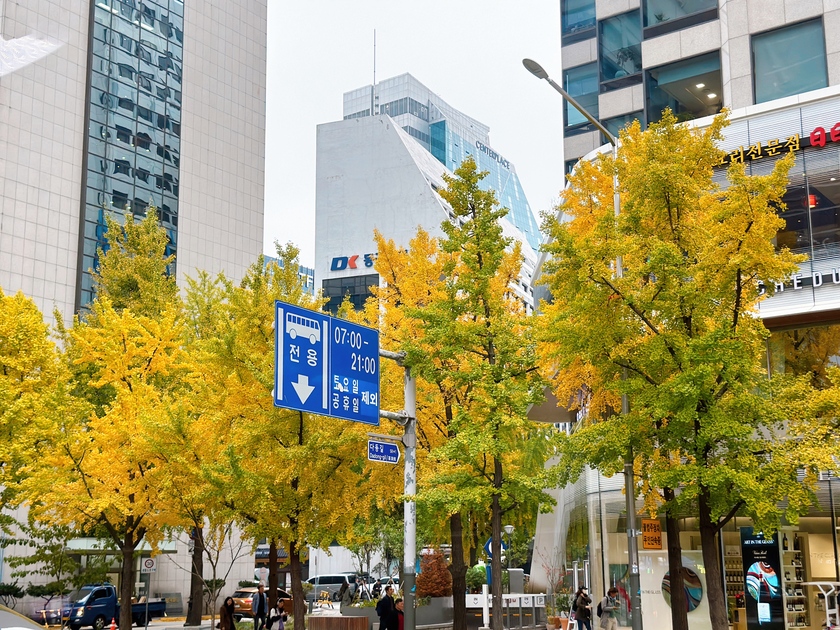 Mùa thu Hàn Quốc tuy ngắn ngủi nhất trong năm, thường kéo dài từ giữa tháng 9 đến tháng 11, nhưng là một trong những mùa được yêu thích nhất tại Hàn Quốc.